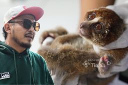 PT Timah - Alobi perkuat penyelamatan satwa endemik Babel korban karhutla