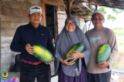 Bupati minta DKPP Seruyan proaktif petakan potensi dan kebutuhan pertanian