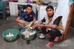 BPJPH sebut UMKM tanpa sertifikat halal terancam sanksi penarikan produk