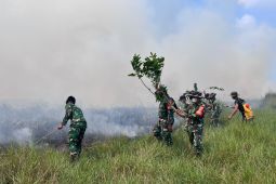 Komite gabungan turut tangani karhutla di TNWK Lampung