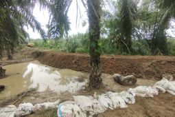 Antisipasi Sungai Tamiang meluap, warga bangun tanggul darurat dari karung goni