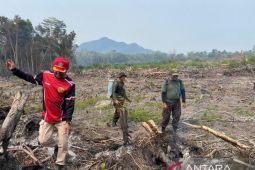 Satgas Karhutla Bangka ajak masyarakat awasi hutan konservasi Gunung Maras
