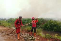 Satgas Jambi turunkan tiga tim darat padamkan karhutla HLG Londerang