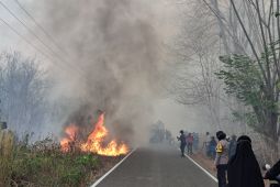 Penegakan hukum karhutla jangan berhenti pada perorangan