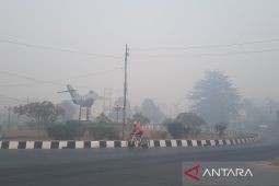 Udara segar yang dirindukan warga Kalimantan