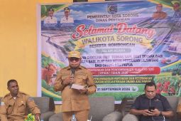 Kota Sorong salurkan bantuan 19 ekor sapi kepada peternak OAP