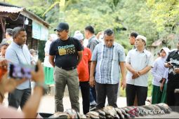 Ikan Jurung mati massal, Pemkab Madina ambil sampel air