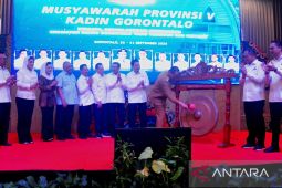 Gubernur dorong Kadin jadi motor penggerak investasi di daerah