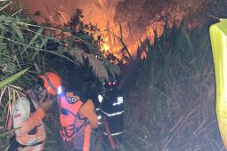 Karhutla hanguskan tiga hektare lahan di Candi Laras Selatan