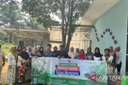 Microgreens: Inovasi dosen UNJA untuk cegah stunting di desa