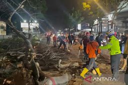 Pohon tumbang di jalur Bandung-Cianjur, 3 pengendara motor terluka