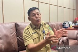 Dishut Kaltim turunkan tim tindak tambang emas ilegal di kawasan hutan