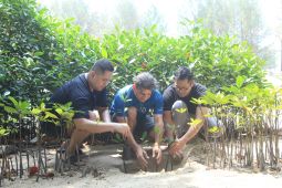 Mangrove Jakarta Impact dan Digital Edge Indonesia,konservasi keempat di Pulau Tidung
