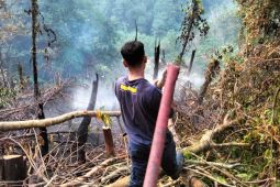 PLN UBP Bengkulu antisipasi kebakaran lahan sekitar PLTA