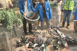 Budidaya maggot di Sangatta manfaatkan limbah SPPG