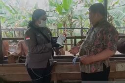 Disbunnak Kalimantan Barat periksa kesehatan ternak terdampak asap karhutla