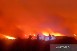 BPBD Banjarmasin turun bantu pemadaman karhutla di Banjar dan Batola