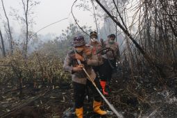 Kapolres Banjar siagakan tim Buru Api 1x24 jam tangani karhutla di kawasan gambut