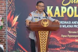 Kapolda Papua catat 29 orang tewas akibat KKB