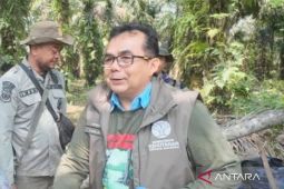 Karhutla di TN Berbak dan Sembilang berkurang akibat hujan
