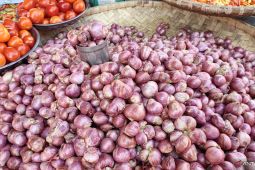 Harga bawang merah di Gorontalo Utara bervariasi