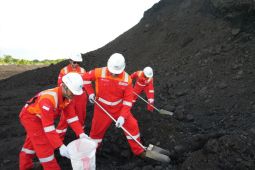 Surveyor Indonesia perkuat penjaminan independen sektor pertambangan