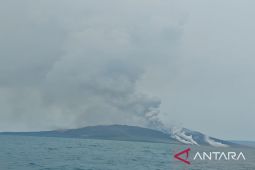 BPBD Lamsel imbau warga tetap waspada usai status GAK diturunkan jadi Level II