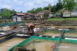 Pemkot Samarinda terapkan Sipeka Ikan atasi kendala kualitas air