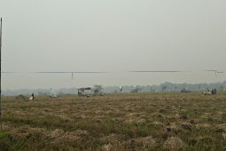 Udara kabur hingga kabut asap berpotensi di wilayah Kalsel