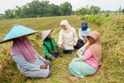 Hari Tani Nasional, momentum jadikan petani benar-benar berdaulat