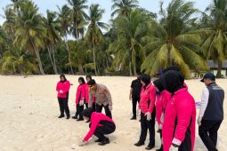 Polres Anambas lepasliarkan 220 tukik guna jaga ekosistem pesisir