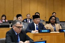 Menlu Sugiono: OKI harus perkuat solidaritas untuk kemerdekaan Palestina