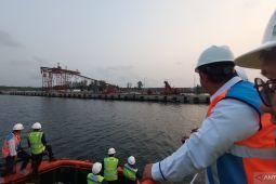 Pemprov Bengkulu siapkan Pulau Baai untuk hilirisasi biodiesel