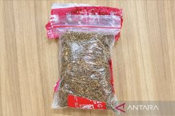 Tembakau sintetis Jakarta: Dua pria diciduk saat transaksi 102 gram di Jaksel
