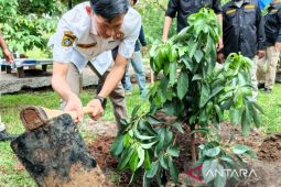 Karang Taruna Bogor kembangkan Alpukat Garuda Yaksa