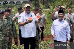 Bupati Bogor sebut panen di median Bomang jadi pendapatan kelompok tani