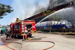 Pabrik wood pellet di Lamongan kebakaran, kerugian capai Rp10 miliar
