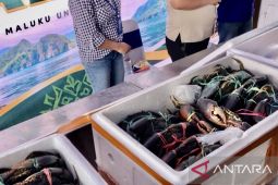 BKHIT Maluku akselerasi berbagai produk perikanan unggulan daerah menuju pasar global