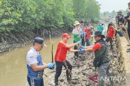 Karantina PBD cegah abrasi dengan penanaman 200 bibit mangrove
