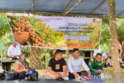 Petani PPU dilatih teknik penanganan pascapanen buah lengkeng