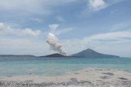 Luas Anak Krakatau meluas hingga capai 341,5 Ha, lampaui ukuran sebelum kolaps