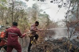 Polsek Muara Uya dan tim gabungan padamkan titik karhutla di Desa Salikung