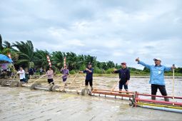 BRMP Aceh terapkan metode tanam padi modern seluas 314 hektare di Aceh Jaya