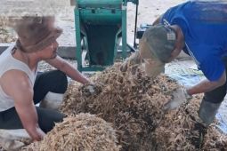 BKSDA Maluku perkuat deteksi dini penyakit zoonosis pada satwa liar