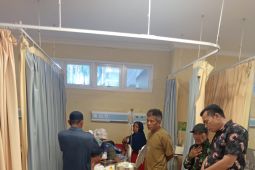 Pasaman Barat harapkan KKP tangani buaya predator di pesisir muara