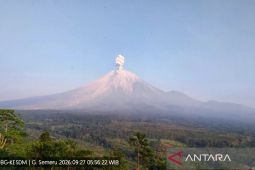 Semeru erupsi dengan tinggi letusan capai 1.300 meter di atas puncak