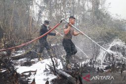 Dengan suntik gambut Polda padamkan karhutla 6,7 hektare