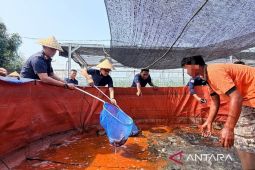 Ditjen Pemasyarakatan Kaltim bina vokasi WBP lewat perkebunan dan perikanan darat