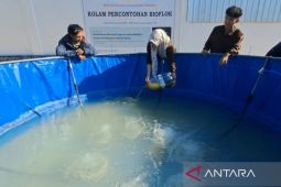 UTM kembangkan usaha perikanan dengan bioflok dan IoT