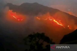 719 kebakaran landa NTB dalam jangka waktu 8 bulan pada 2026